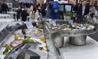 新加坡海鲜渔业展-亚洲海鲜渔业展(Seafood Expo Asia)2027年展位预定流程,企业参展必备步骤+避坑要点