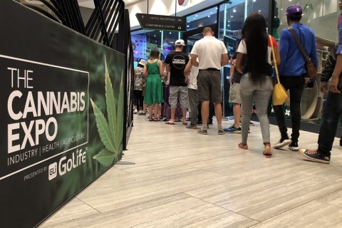 南非约翰内斯堡大麻展览会展会现场图片