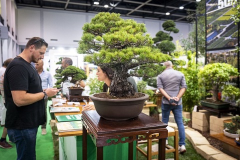 意大利帕多瓦园林园艺花卉展览会展会现场图片
