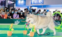 亚宠北京宠物展-京宠展(Pet Fair Beijing)2027年票务信息