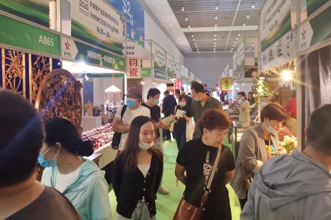 天津茶叶展-天津茶博会展会现场图片