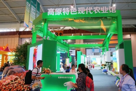 南亚博览会展会现场图片