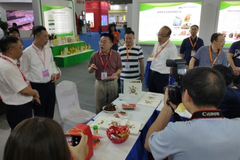 (南京)第十五届IEOE国际粮油产业博览会展会现场图片