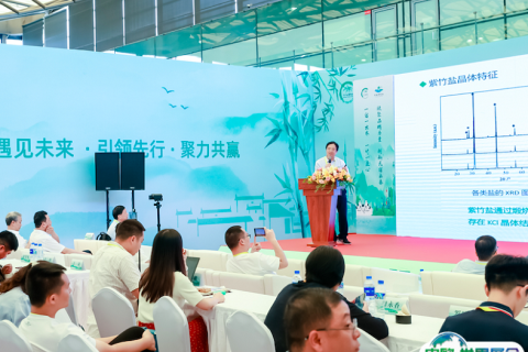 上海国际旅游景区装备及乐园博览会展会现场图片