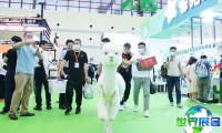 2026郑州宠物展览会观展全攻略:日程安排与票务详情