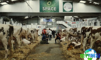 2027年法国畜牧展(SPACE)如何购票？购票渠道有哪些？