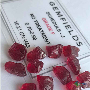 莫桑比克红宝石在 Gemfields 十月拍卖会上拍出 5200 万美元