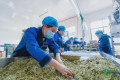 邵东这个小镇，凭什么连续四年举办省级博览会？