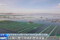 视频丨海水养殖产量突破2000万吨！深海优质鱼类如何端上普通百姓的餐桌